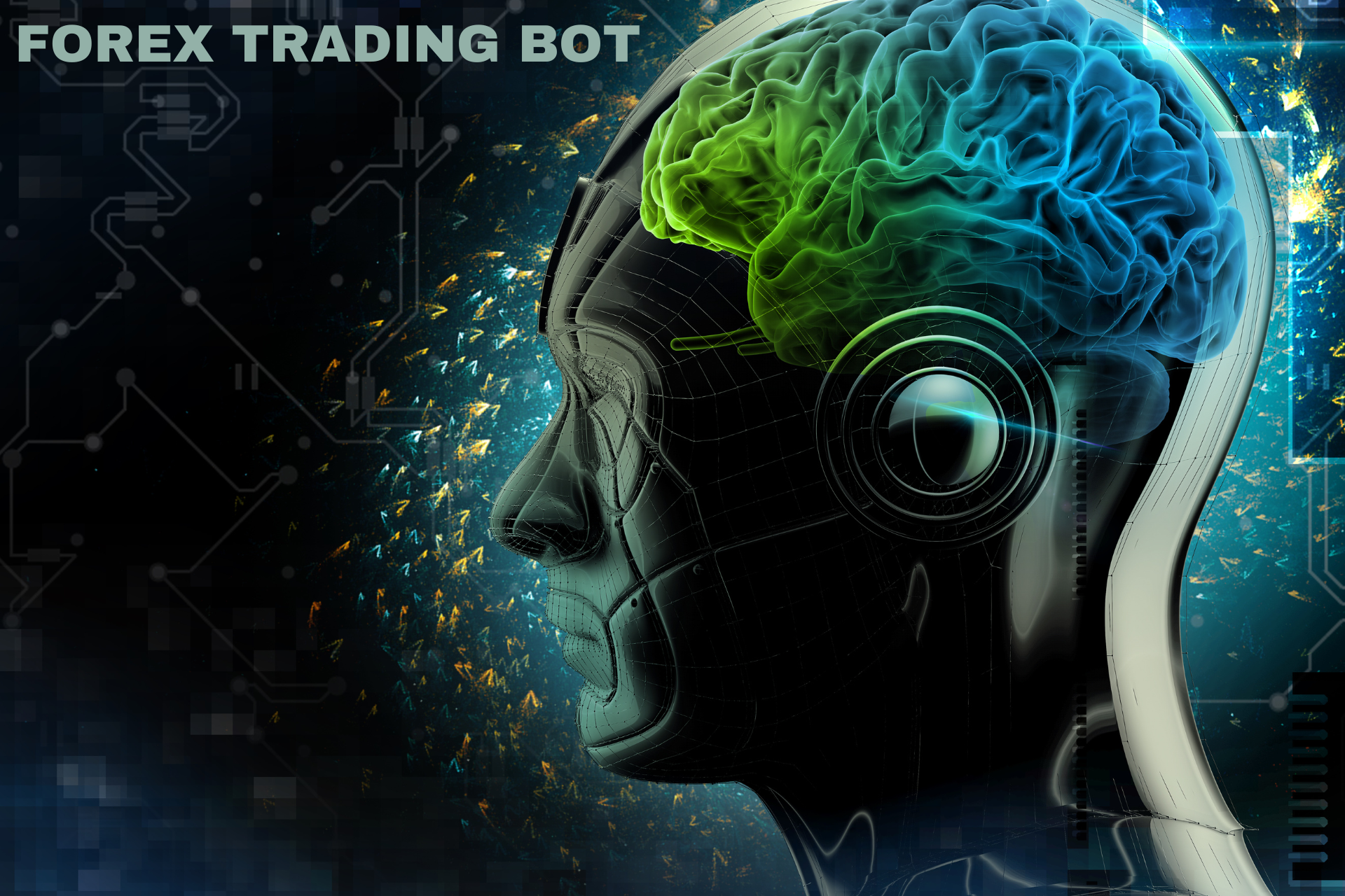 Forex Trading bot, Forex, trading, Trading Bots, Forex trading, Automation, Automated trading
